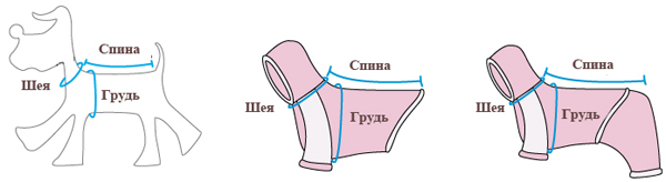 Размеры одежды для собак, Одежда для собак, Одежда для йорков, Одежда для  чихуахуа, Одежда для той-терьера, Одежда для собак м.Беляево, Одежда для  собак м.Калужская, Одежда для собак м.Коньково, Одежда для йорка в