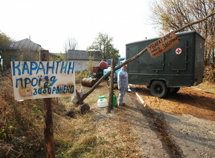 Через спалах африканської чуми на Чернігівщині введено обмеження руху