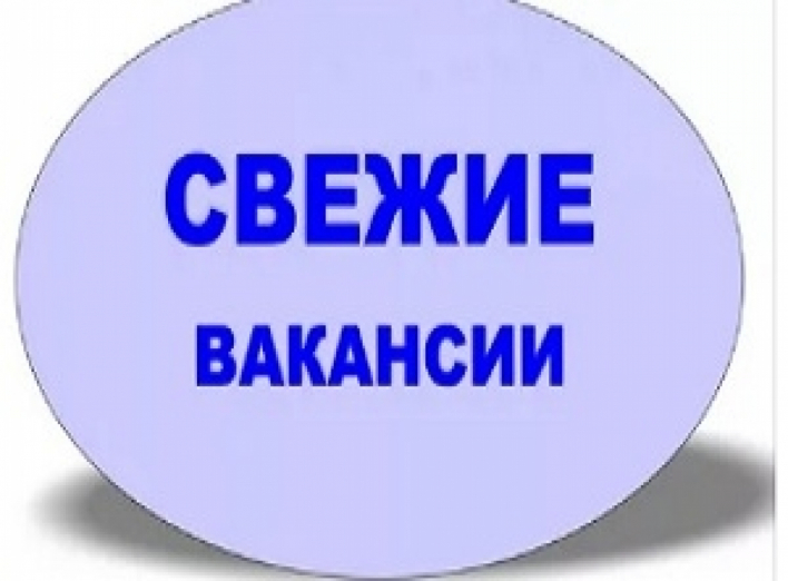 Удастся ли создать единый реестр вакансий в Украине