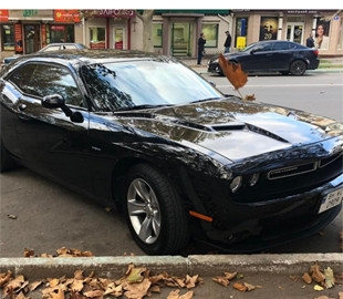 Военным, уничтожившим «Москву», одесский бизнесмен подарил Dodge