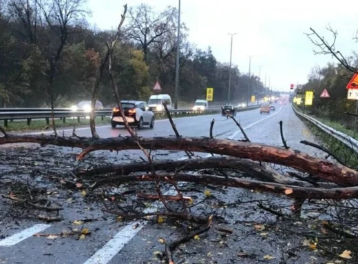 Через сильний вітер загинув чоловік фото