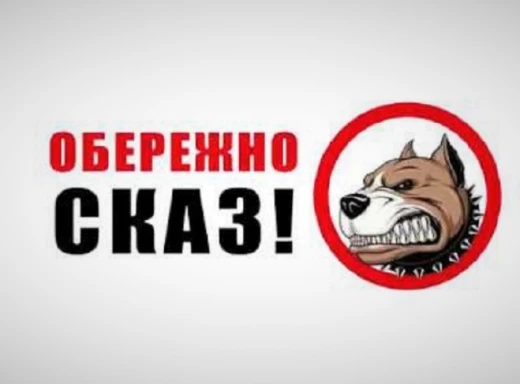 Карантинні обмеження на Чернігівщині через випадок сказу: що потрібно знати фото