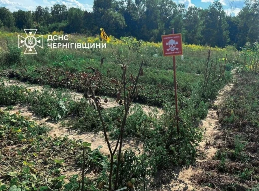  Місцеві жителі Чернігівщини почали підв'язувати овочі табличками «Небезпечно, міни!» фото