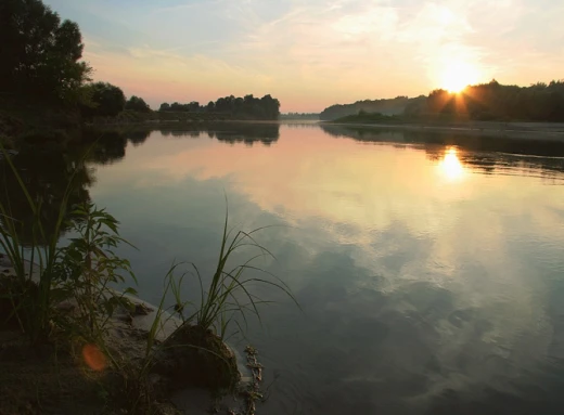 У Чернігові різко погіршилася якість води в Десні: місцевим жителям не рекомендують купатися та ловити рибу фото