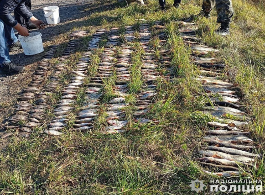 На Чернігівщині поліція розслідує браконьєрський вилов риби вартістю понад 600 тисяч гривень фото