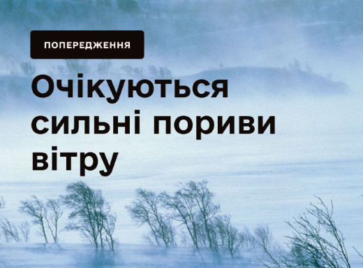 Шторм у Карпатах: рятувальники закликають утриматися від походів у гори фото