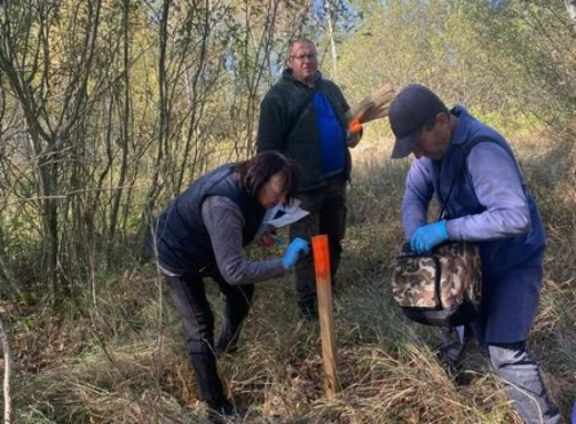 Чорнобильський заповідник розпочав осінню імунізацію диких тварин проти сказу фото