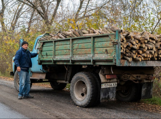 Зеленський не підпише «закон про дрова», час на вето минув фото