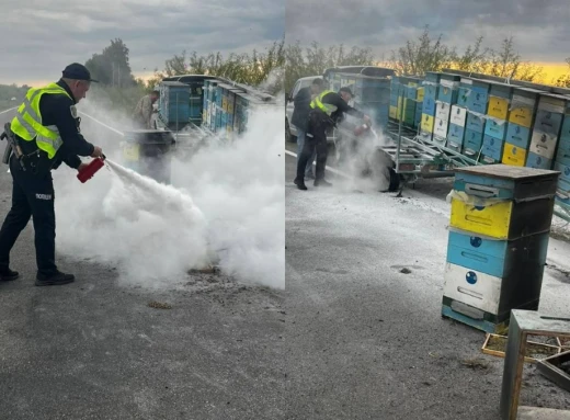 Пожежа на узбіччі: патрульні поліцейські врятували автомобіль з вуликами бджіл фото