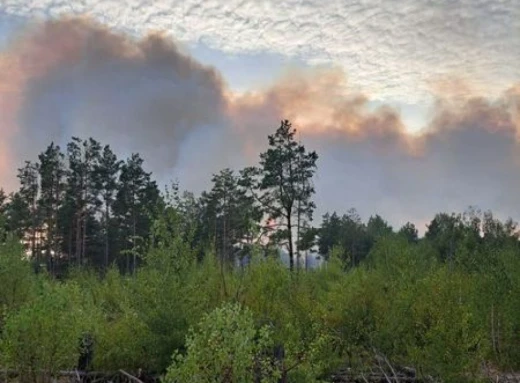 Пожежі у зоні відчуження: ДАЗВ повідомляє про хід боротьби та заходи безпеки фото