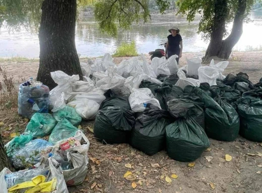 Чернігів зіткнувся з екологічною катастрофою: з Десни зібрали понад 1,5 тонни мертвої риби фото